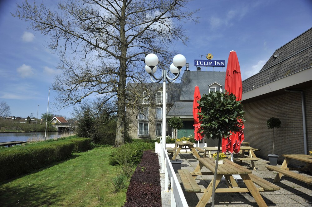 Terras