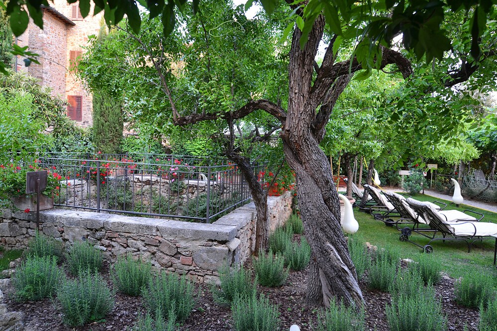 Giardino