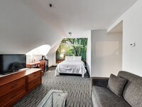 Deluxe Queen Suite with Sofabed
