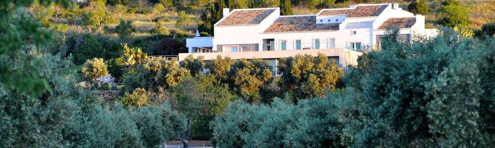 Jardines del establecimiento