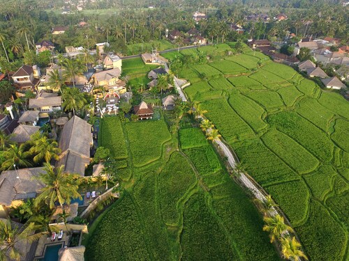 Wapa di Ume Ubud