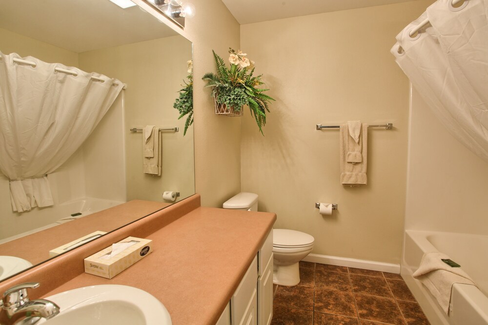 Condo, 1 Bedroom, Kitchen - Bathroom