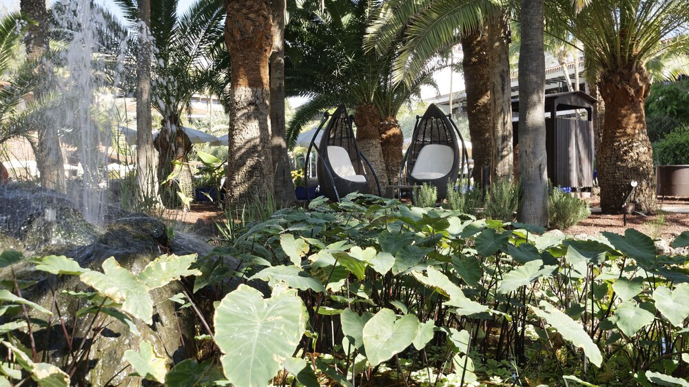 Jardín