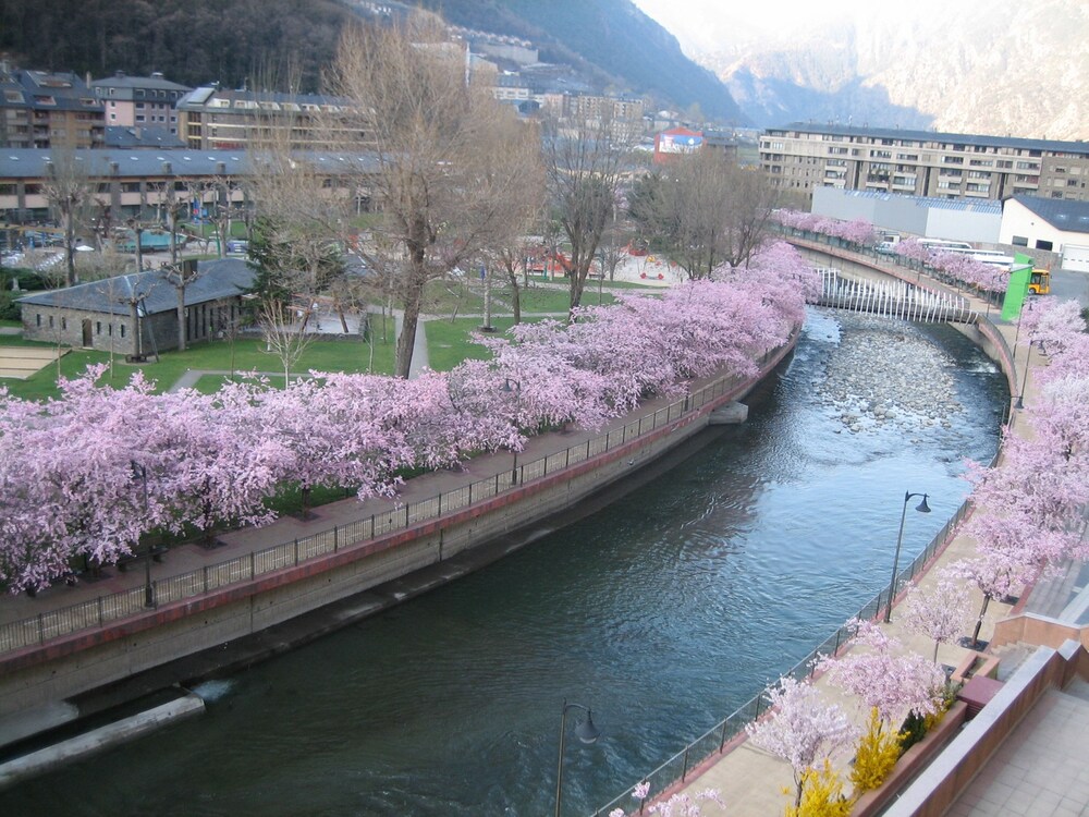 View from Hotel