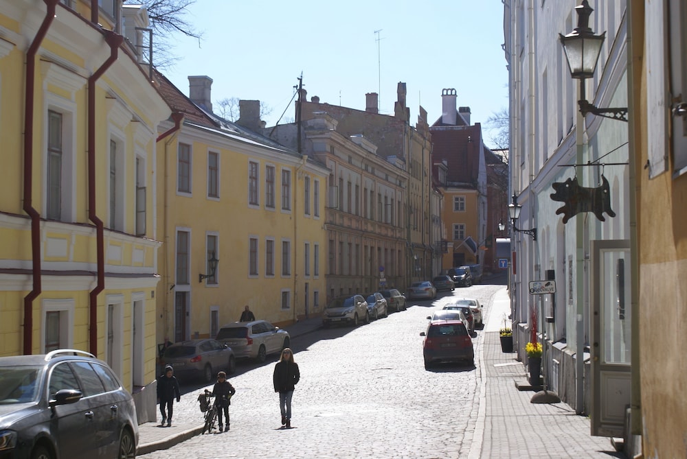 Näköala kadulle