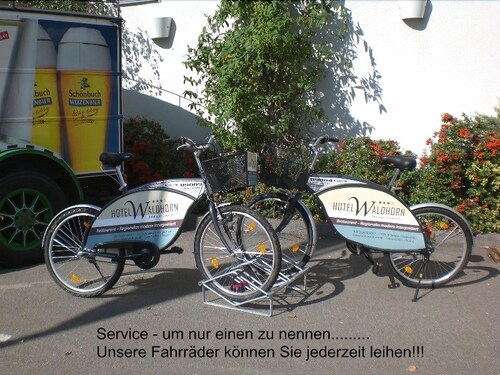 Sportbereich