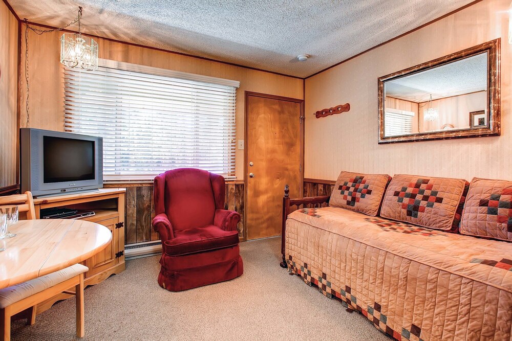 Studio, 1 Queen Bed with Sofa bed (Bronze) - Living Area
