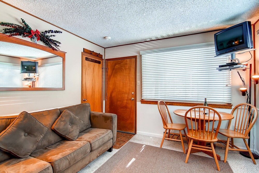 Studio, 1 Queen Bed with Sofa bed (Bronze) - Living Area