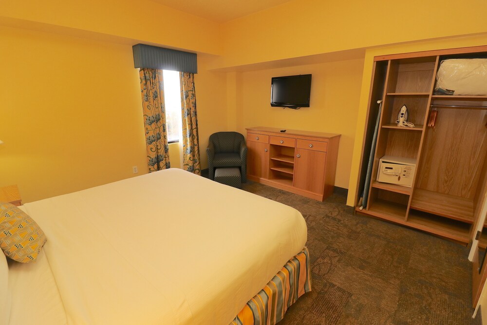 Suite, 1 Bedroom - Guestroom