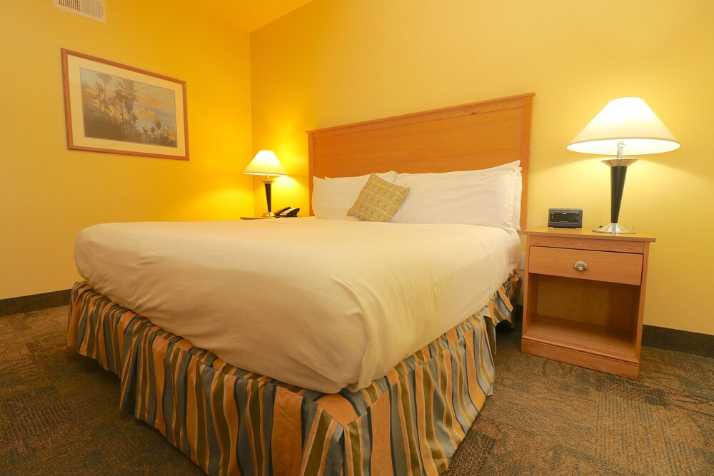 Suite, 1 Bedroom - Guestroom