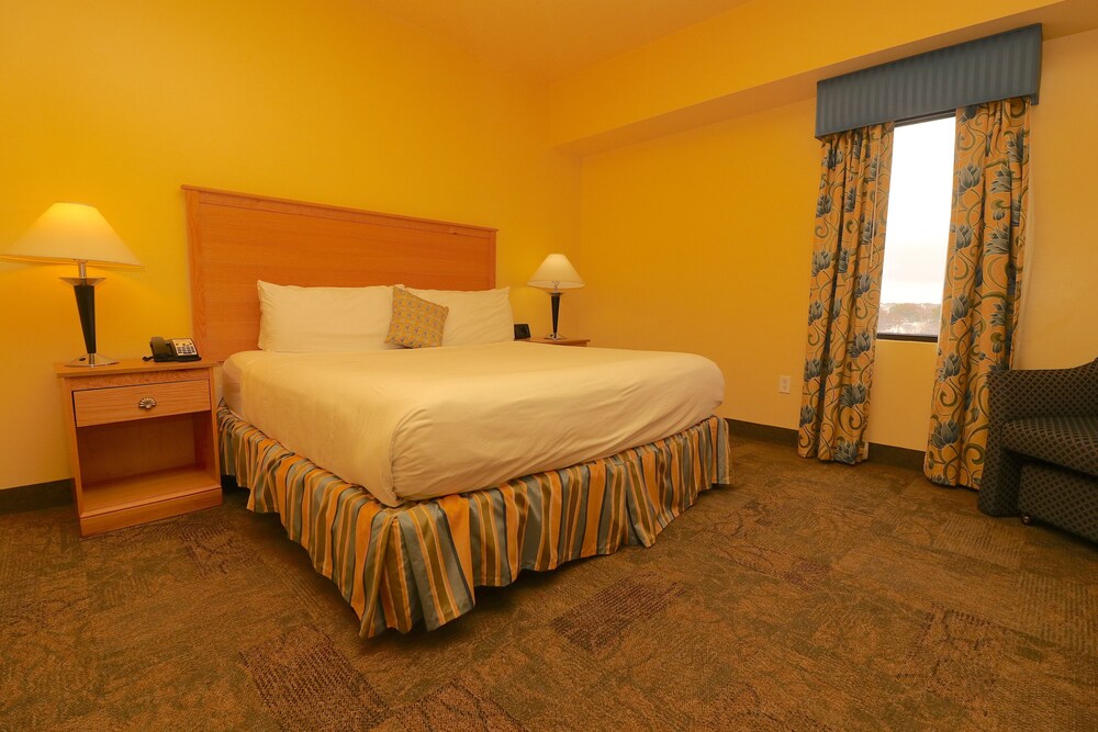 Suite, 1 Bedroom - Guestroom