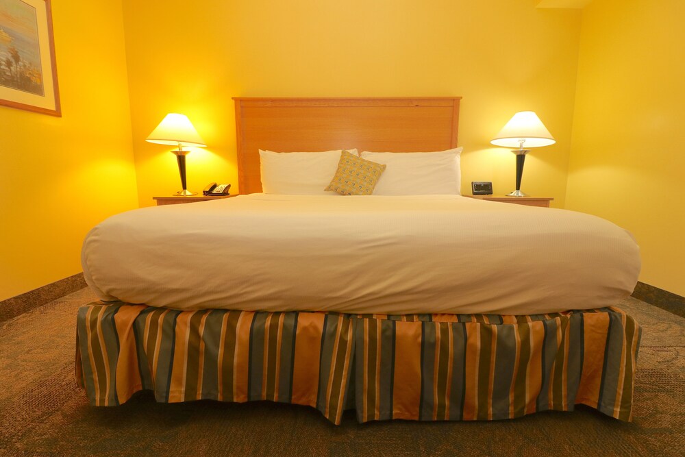 Suite, 1 Bedroom - Guestroom