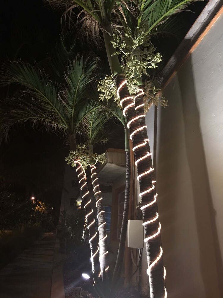 Hotel Front - Evening/Night