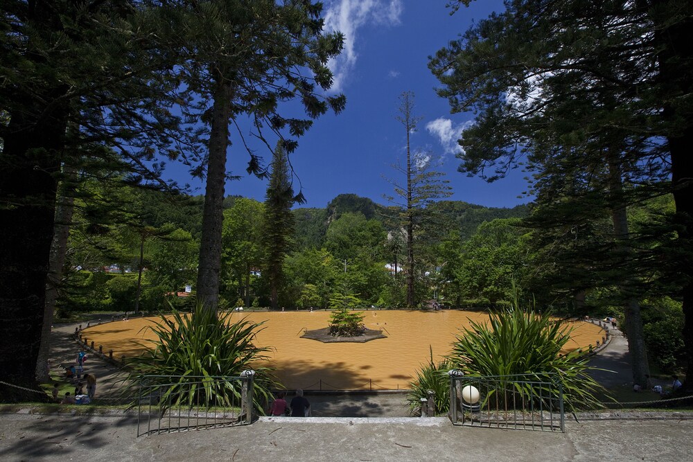 Natural Pool