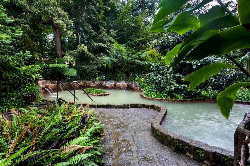 Natural Pool