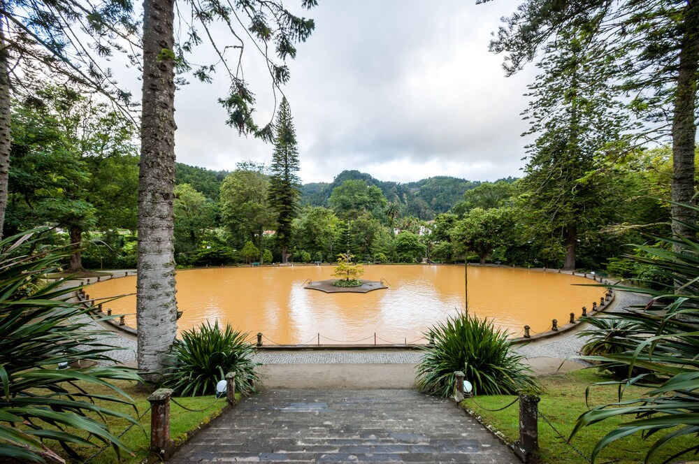 Natural Pool