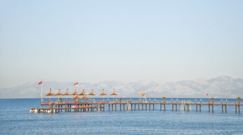 Dock