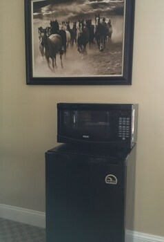 Mini-Refrigerator
