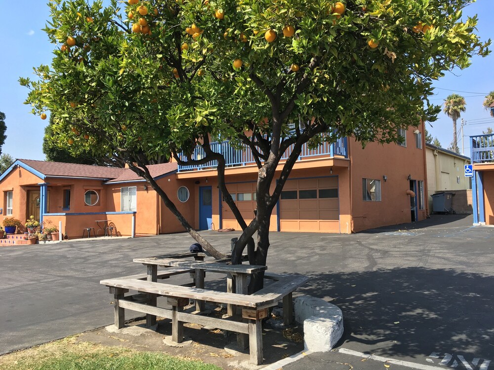 Childrens Area