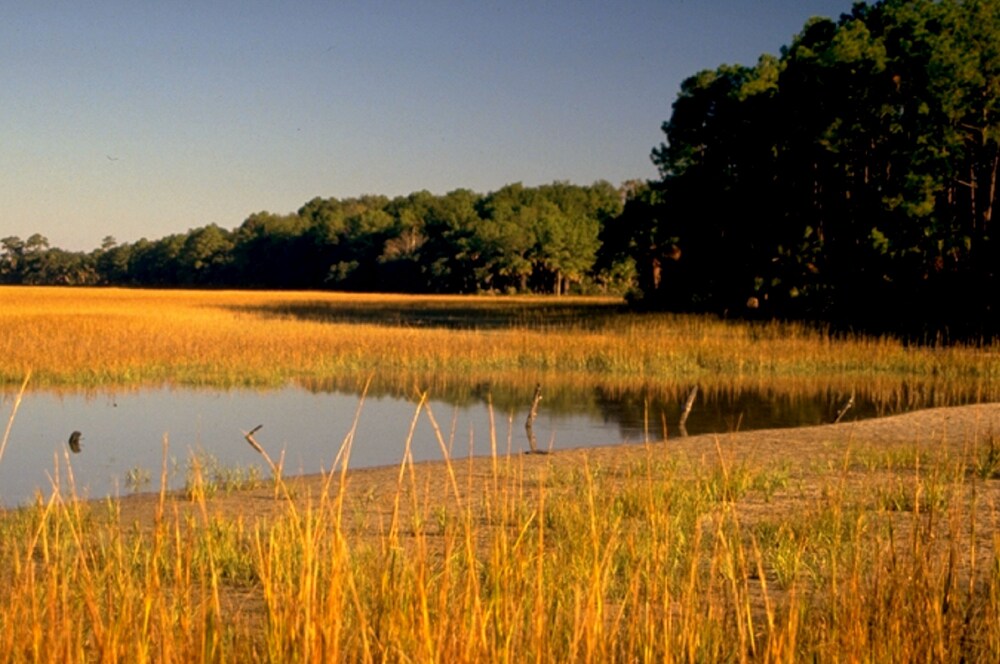 Lake View