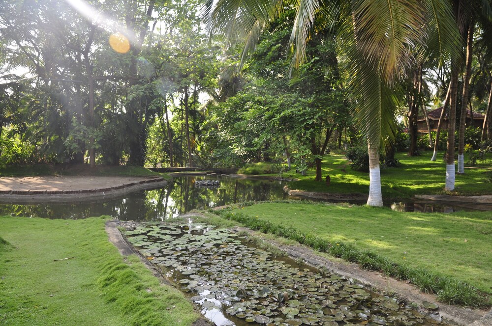 Childrens Play Area - Outdoor