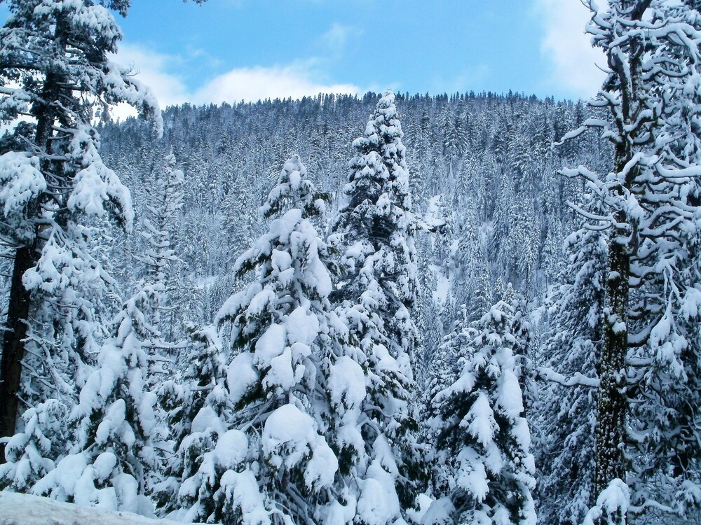 Ski Hill
