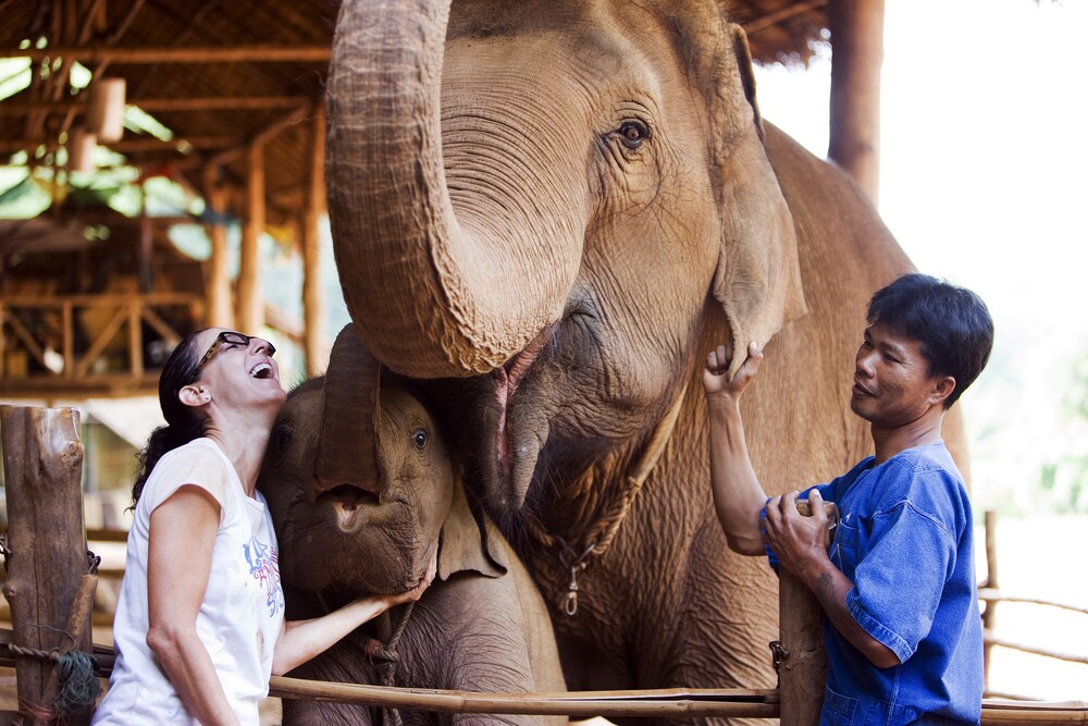 Garden, Anantara Golden Triangle Elephant Camp & Resort