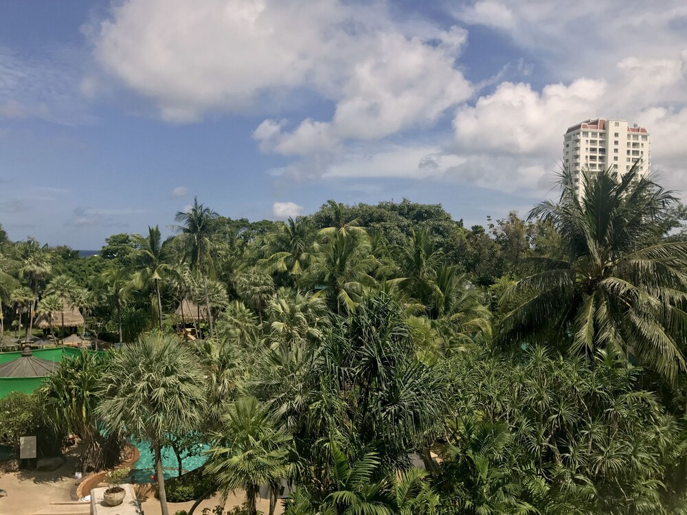Guestroom View