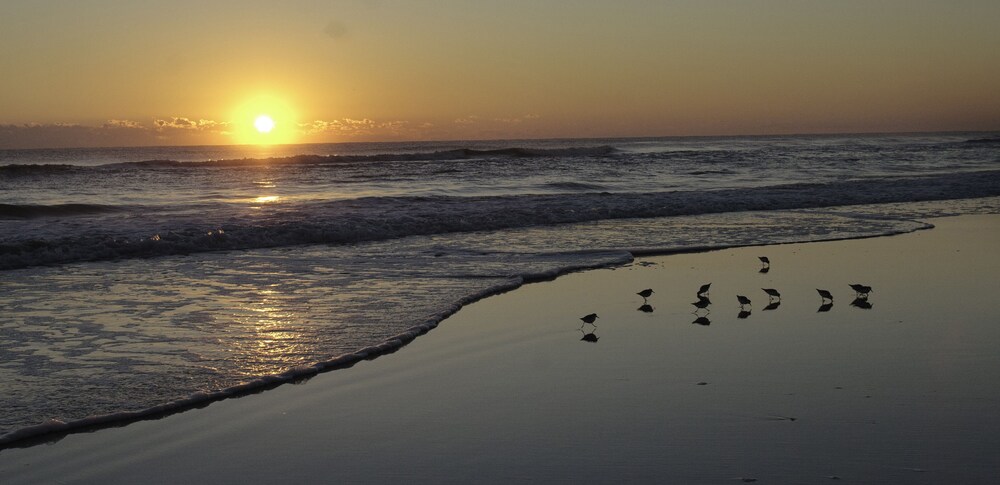 Beach/Ocean View