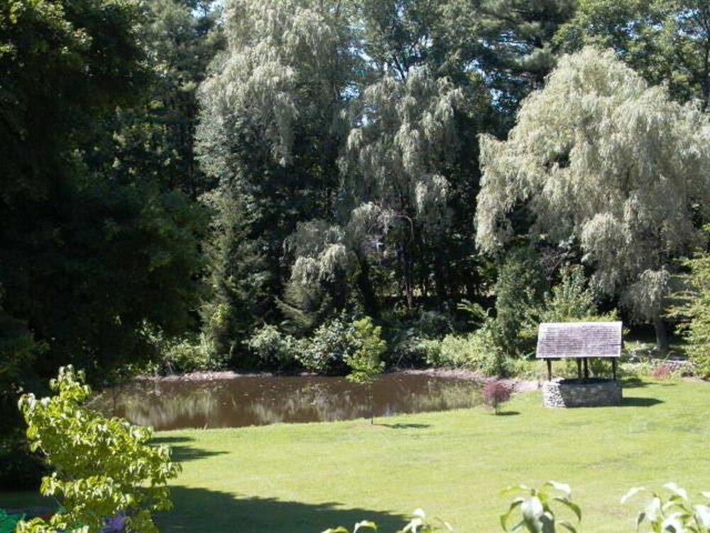 Lake