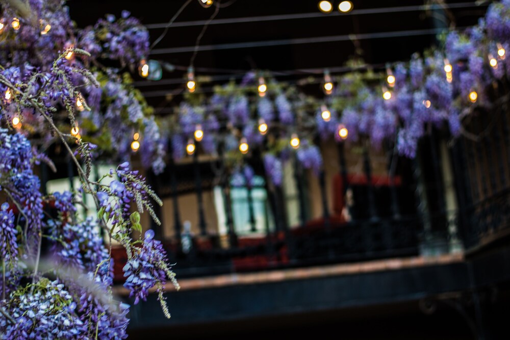 Outdoor Wedding Area