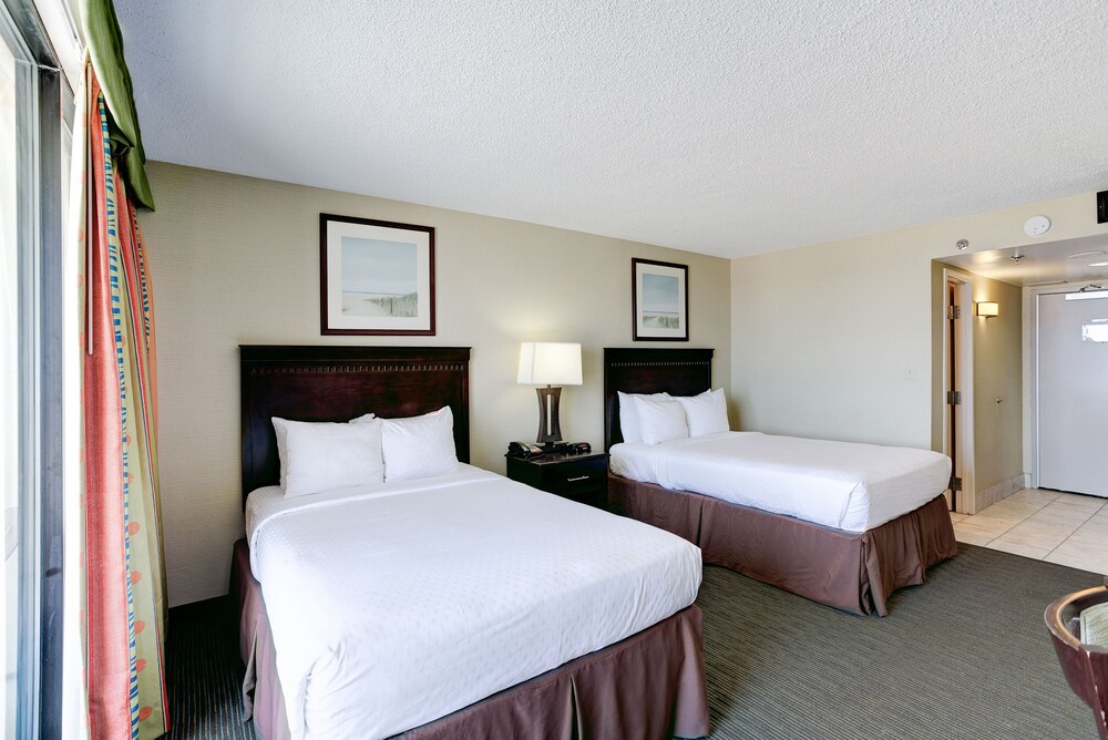 Studio, Oceanfront - Guestroom