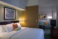 Suite, 1 King Bed with Sofa bed