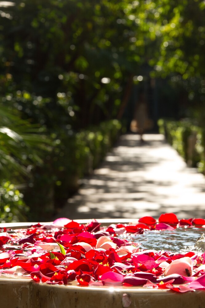 Jardin