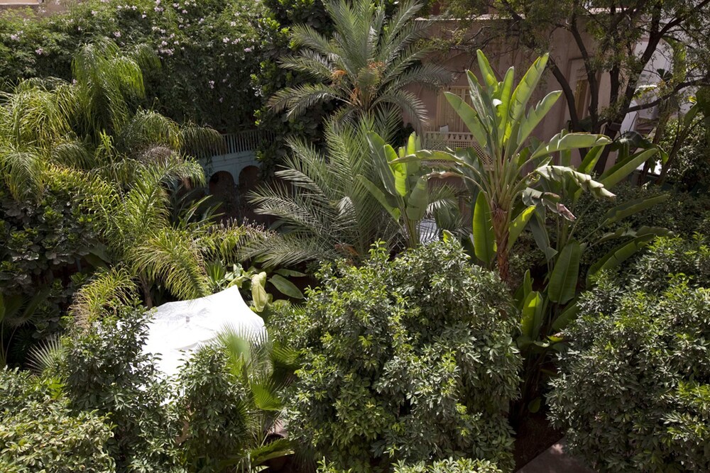 Jardin