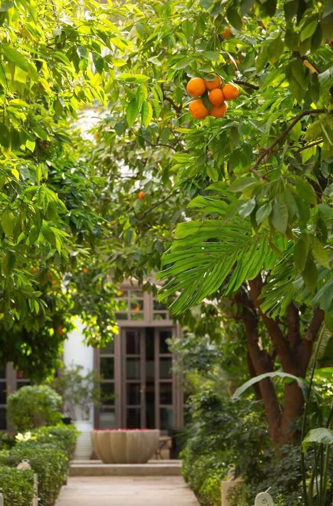Jardin