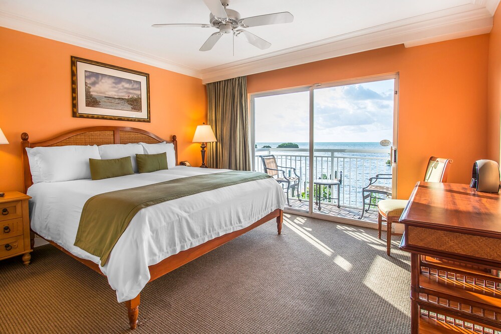 Guestroom View