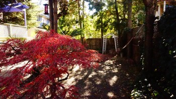 Guestroom View