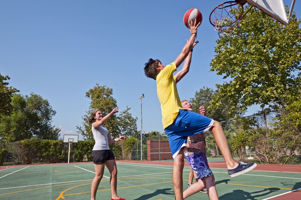 Basketball Court