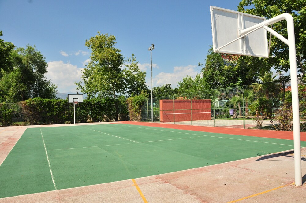 Basketball Court