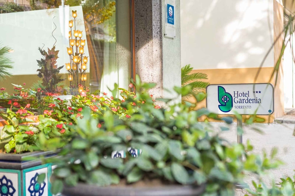 Hotel Entrance
