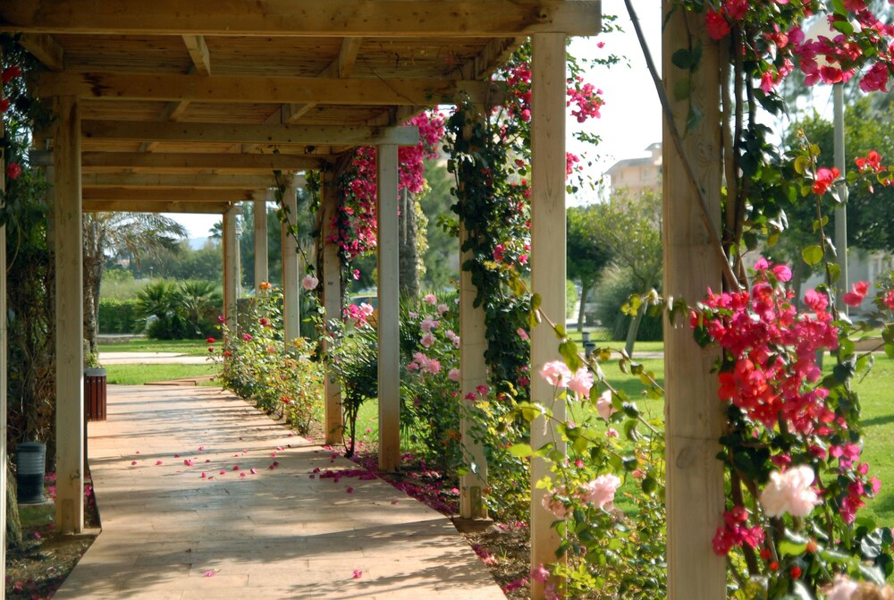 Jardín