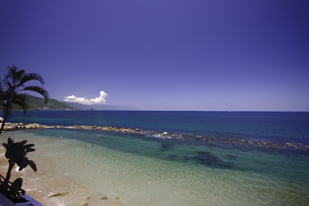 Beach/Ocean View