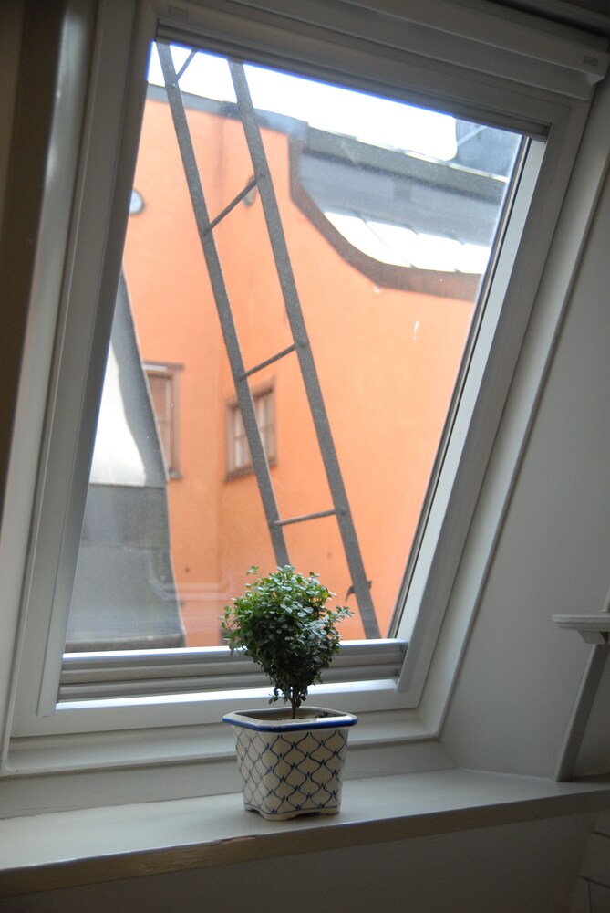 Guestroom View
