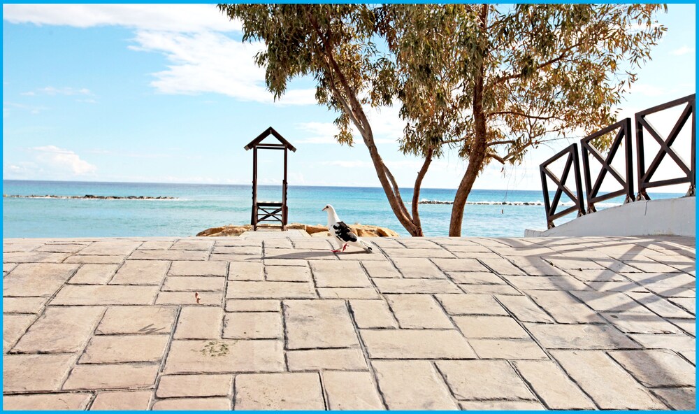 Beach/Ocean View