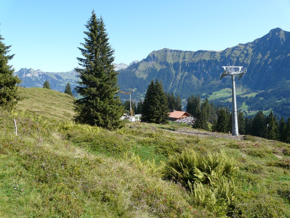 Sports Facility
