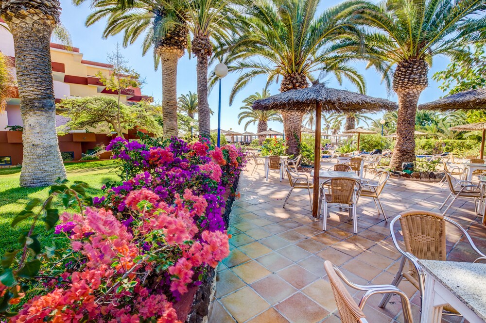 Poolside Bar
