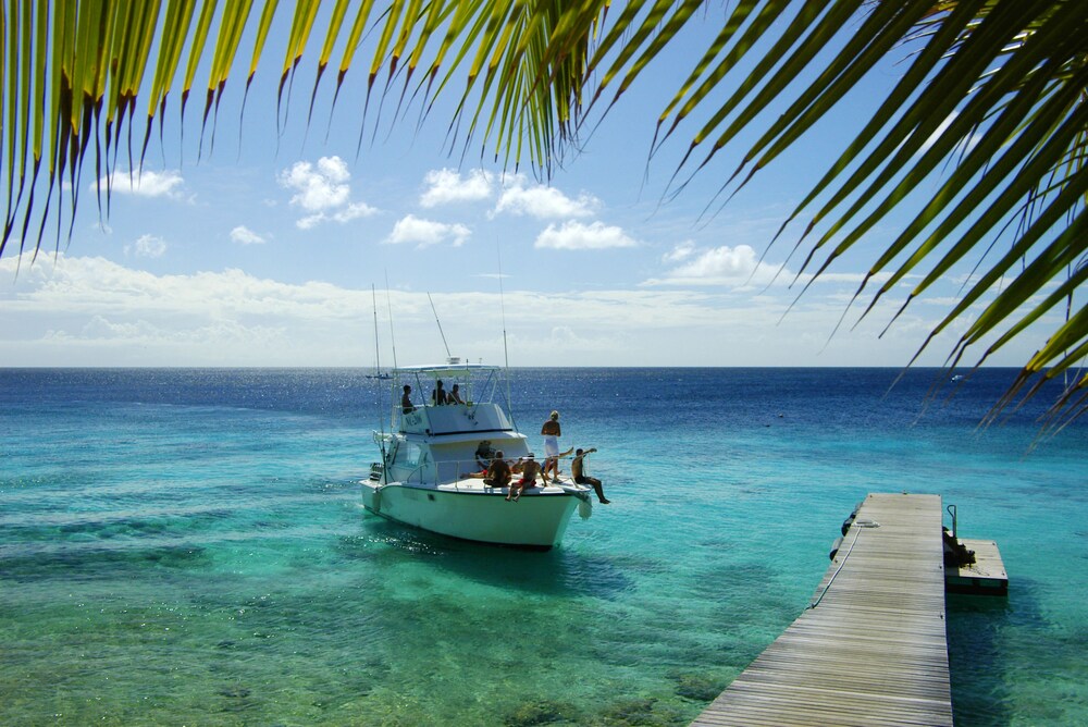 Dock
