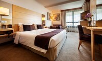 Executive Double or Twin Room, City View