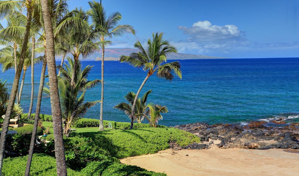 Beach/Ocean View